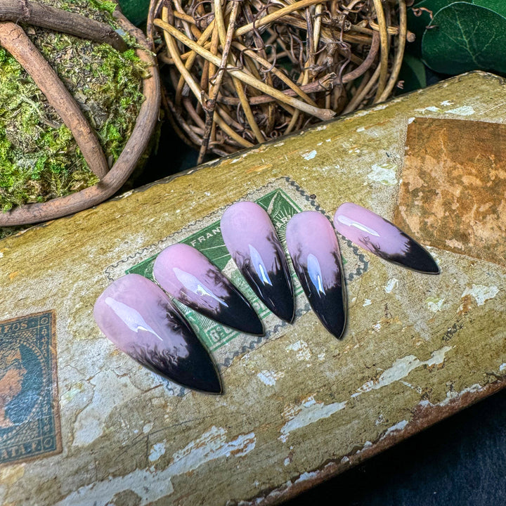 Custom Luxury Press On Nails - Blacktip